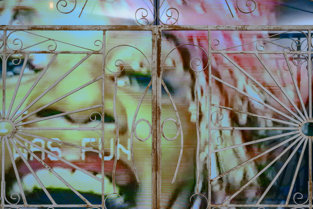 Akeem Smith, Curated By Vienna, 2024