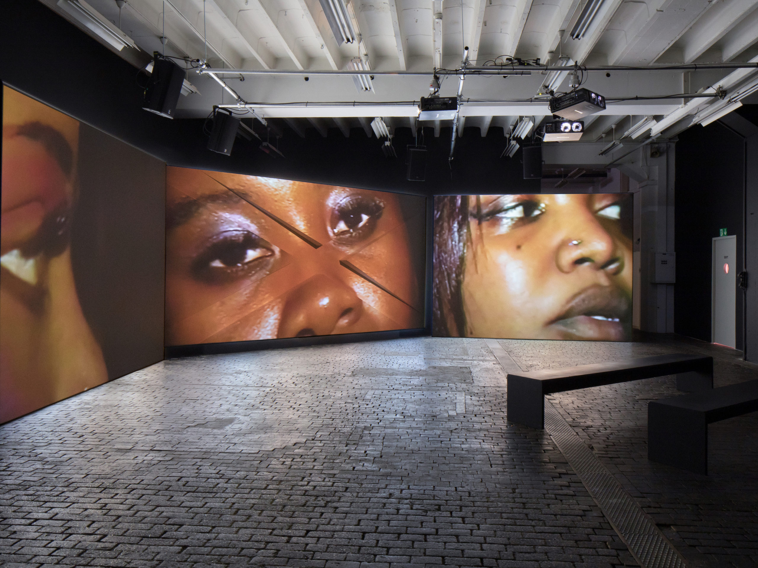 Akeem Smith, Installation view, "La Biennale de l'Image en Mouvement (BIM)", Geneva, 2020