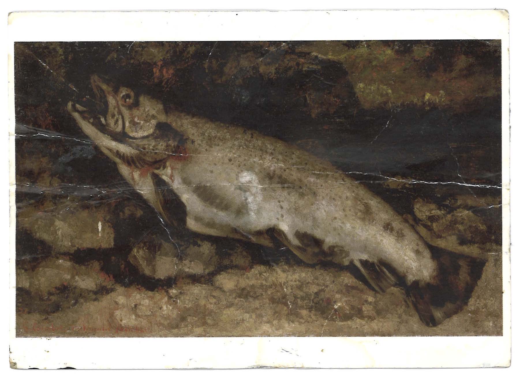 Brook Hsu, Trout Fishing in America, Heidi, London, 2026