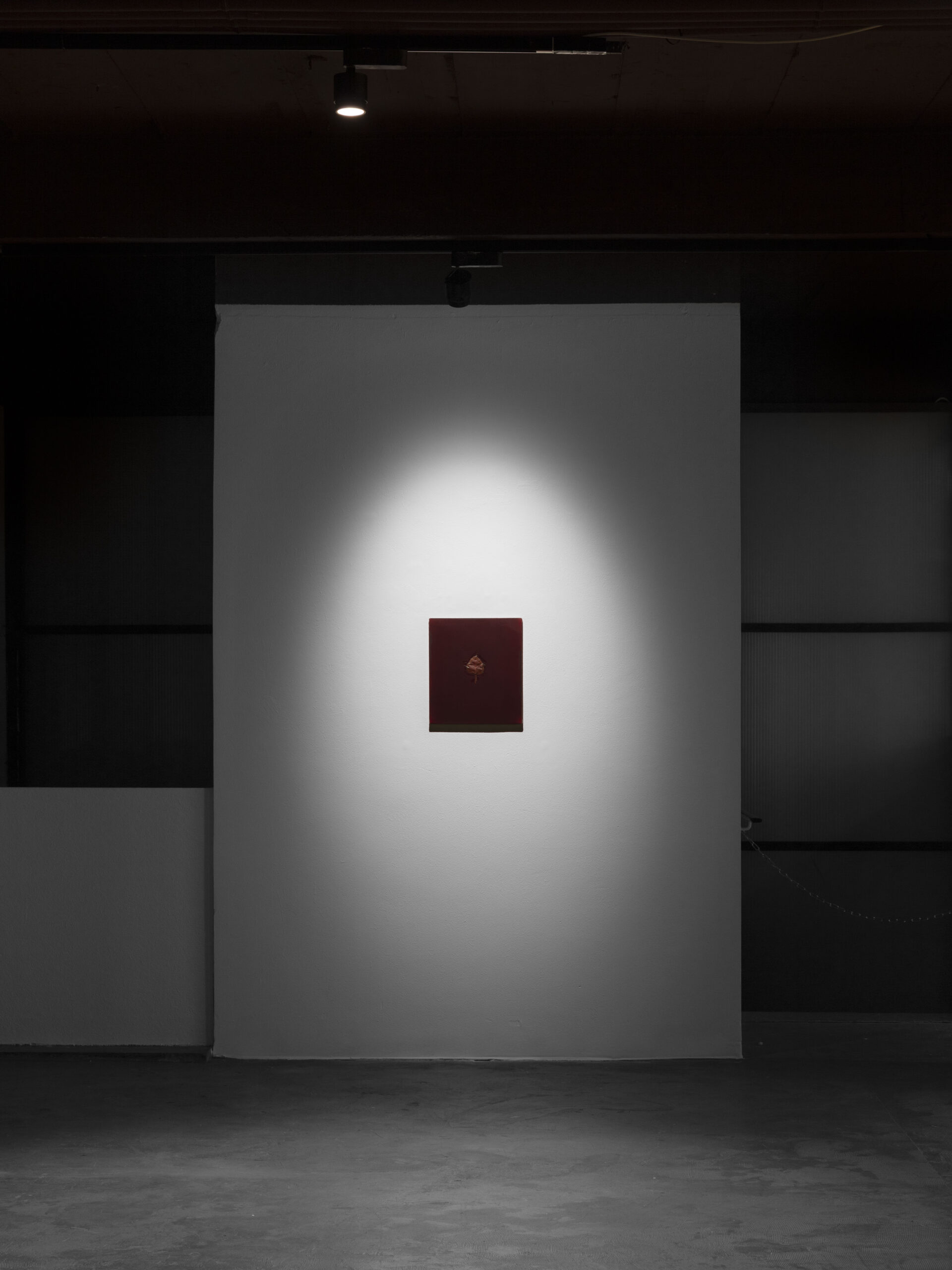 Royce Weatherly, Something About Nothing, Heidi, 2025