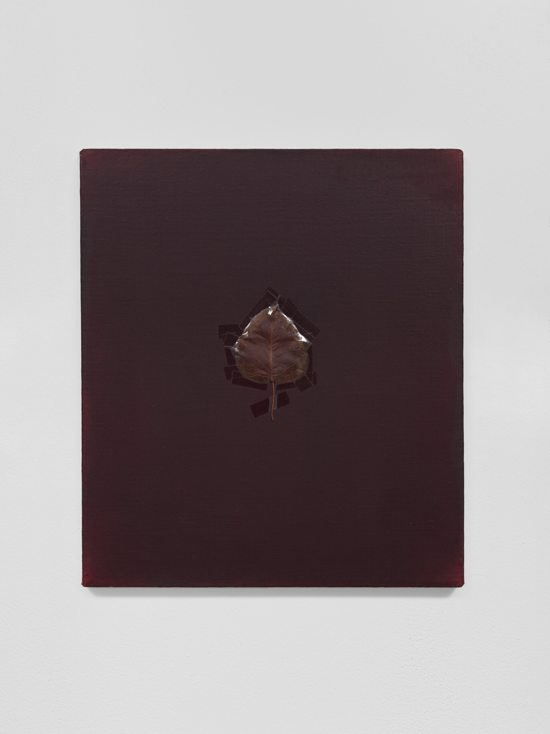 Royce Weatherly, Something About Nothing, Heidi, 2025