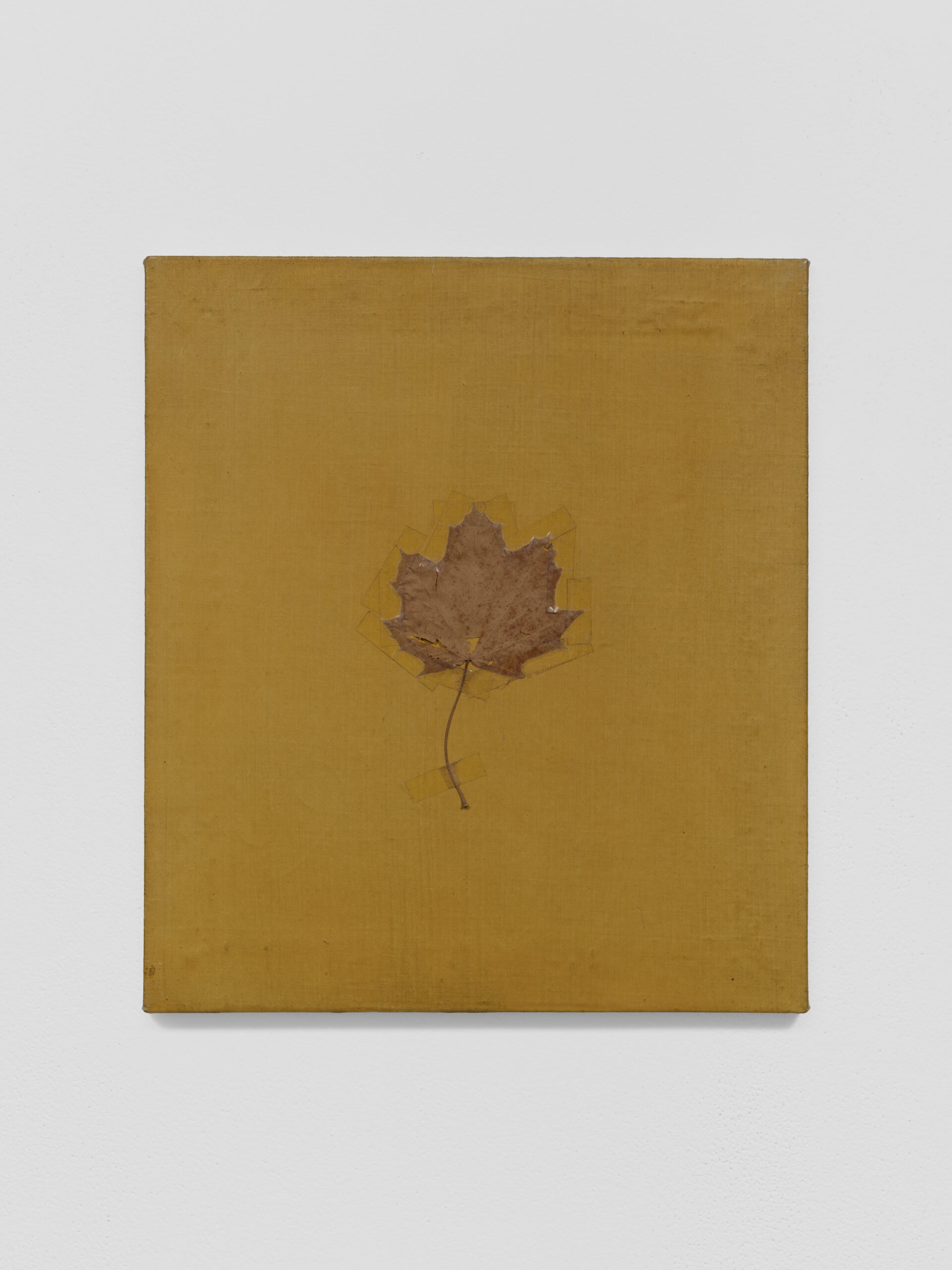 Royce Weatherly, Something About Nothing, Heidi, 2025